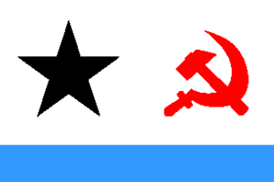 Flag of AnarchoCommunist NLA.png