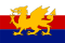 Flag of Dracul.svg