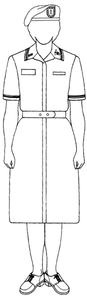 File:Hospital duty dress with beret.png