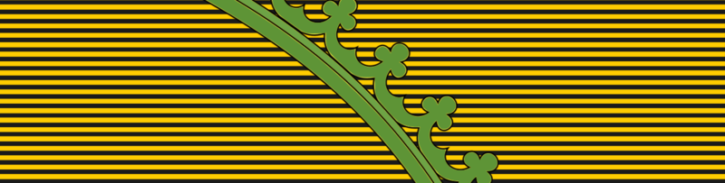 File:Order of Prince Ludwig Gaston of Saxe-Coburg and Braganza ribbon bar.png