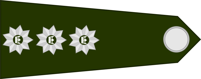 File:OF-2 (Ikonian Army) - rotated.svg