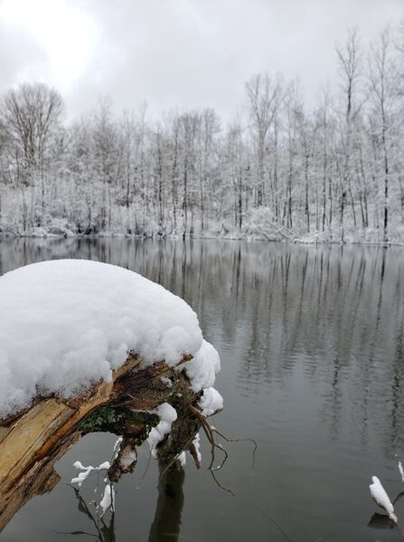 File:Snowy Lake Sawvan.jpg