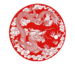 Official seal of Circuit of Seilung Gong