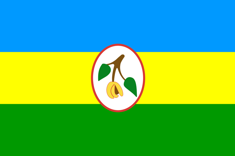 File:Windward Islands flag.png