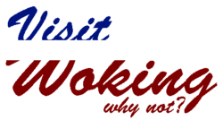 Visit Woking Logo.png
