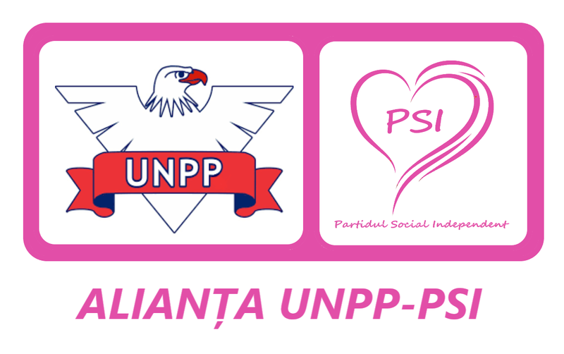 File:UNPP-PSI.png