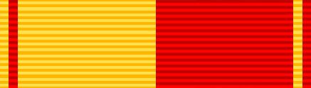 File:Vicuna Campaign Medal.jpg
