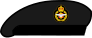 File:Baustralian naval beret.svg