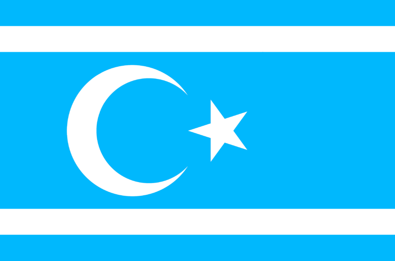 File:Flag of Turkmeneli.png