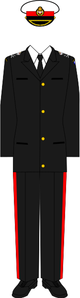 File:Uniform of a Lieutenant general (Marines).svg