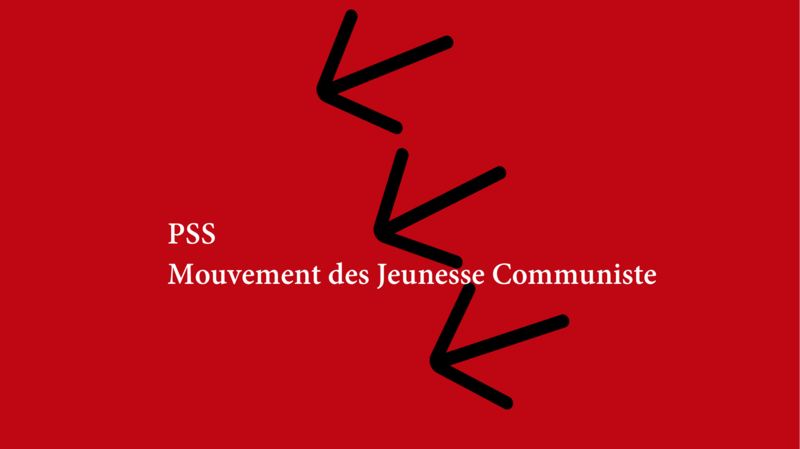 File:Logo PSS.png