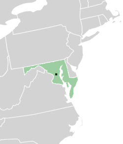 Location of New Scireland (dark green)