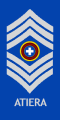 OR-9 chief warrant officer of the army.svg