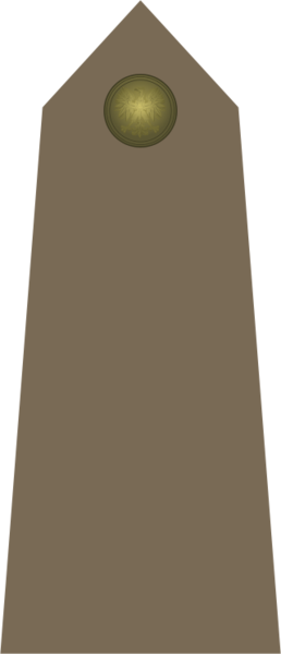 File:Army-POL-OR-01.svg.png