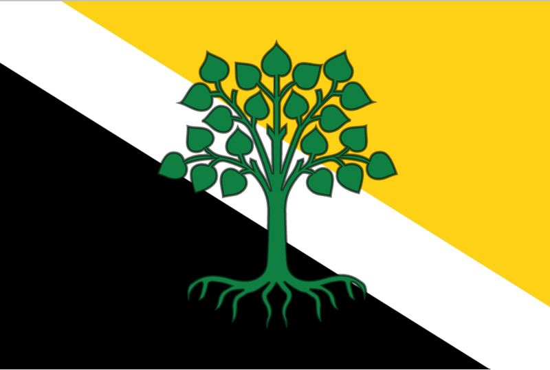 File:Kingdom of Bir Tawil Flag.png