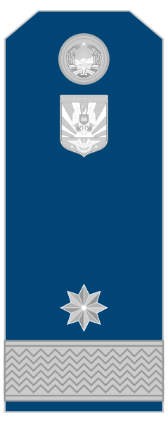 File:Colonel general - Snagov (Air).svg