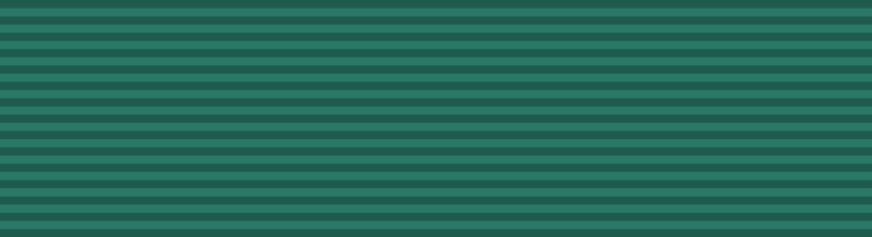 File:Ribbon of Army Service.svg