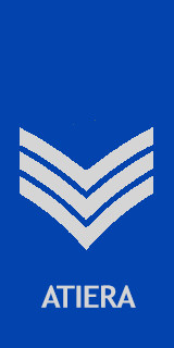 File:OR-5 sergeant.svg