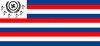 Niclogian Flag.png