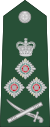 Queenslandian-Army-OF-09-collected.svg