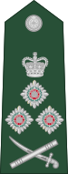 File:Queenslandian-Army-OF-09-collected.svg