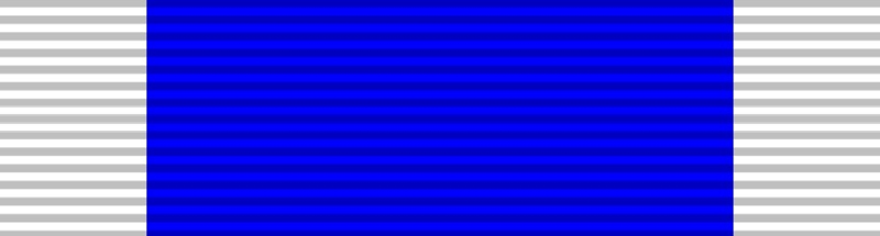 File:AP medal.png