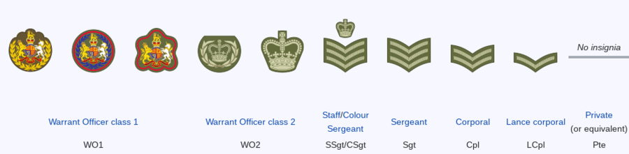Wellmoorean Army Other Ranks.png