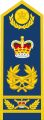 Marshal of the Royal Air Force (Queensland).svg