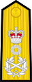 Admiral of the Fleet (Vishwamitra) - Shoulder (OF-10).svg