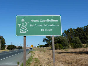 Road-Sign mons caprifolium.jpg