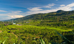 A view from Komune Cibodas, a commune located in Federation of Puncak Raya.
