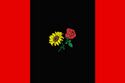 Flag of Acuña-Tesar Empire