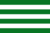 Vitruvioflag.png