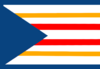 Flag of City of Gorbonia