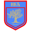 Football club logo (2022–)