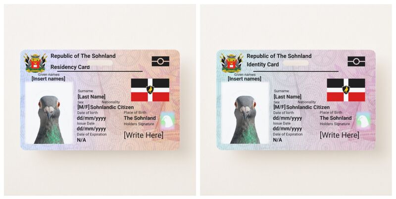 File:Citizen and Resident ID Card TSL.jpg