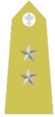 Matachewanian Szeczpowy(Army).png