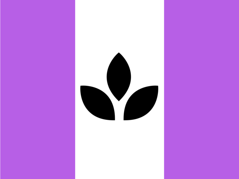 File:Flag of Neo Ongwanada.png