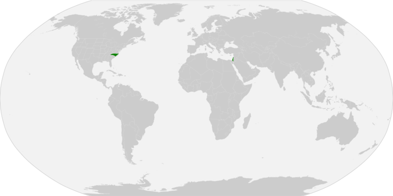 File:Blank world map with US states borders.svg.png