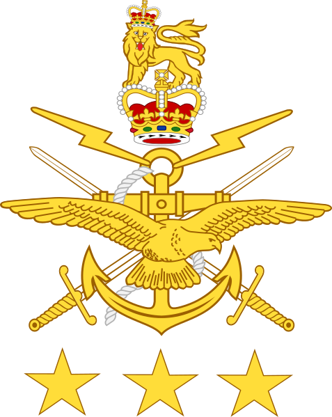 File:Chief of Queenlandian Defence Forces - Badge (3 star).svg