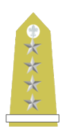 Matachewan General Broni(Army).png