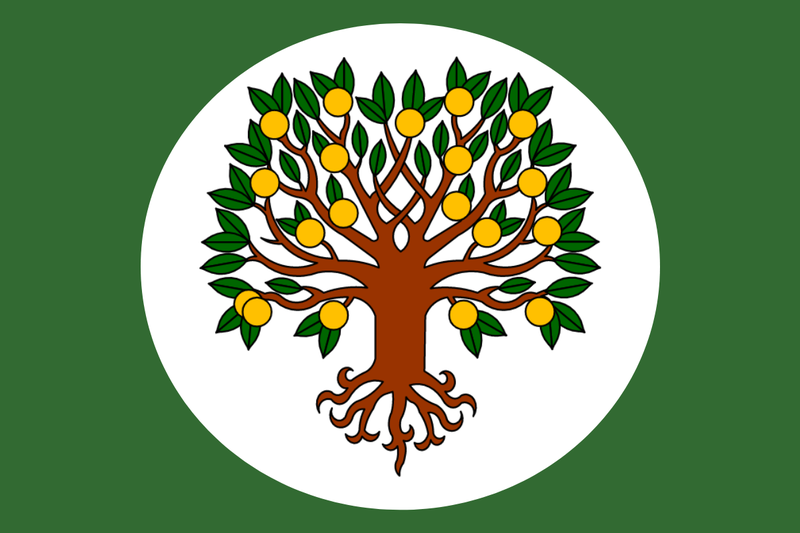 File:Flag of Campo Del Sol.png
