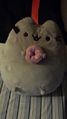 Pusheen the Cat United Stuffed Animal Coalition leader and Stuffed Animal rights activist from Shaoshan City