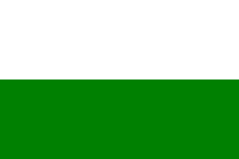 File:Flag of Bolshoy Lug.svg