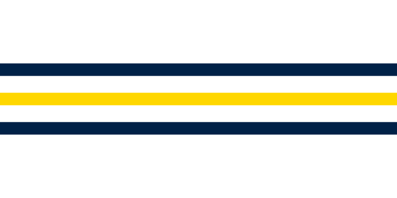 File:Flag of the Isle of Celeste.svg