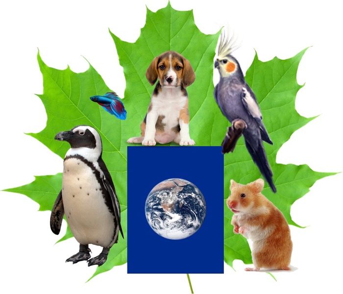 File:Animalia coat of arms.jpg