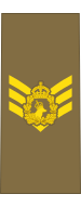 File:Baustralia Army OR-7 (Canine).svg