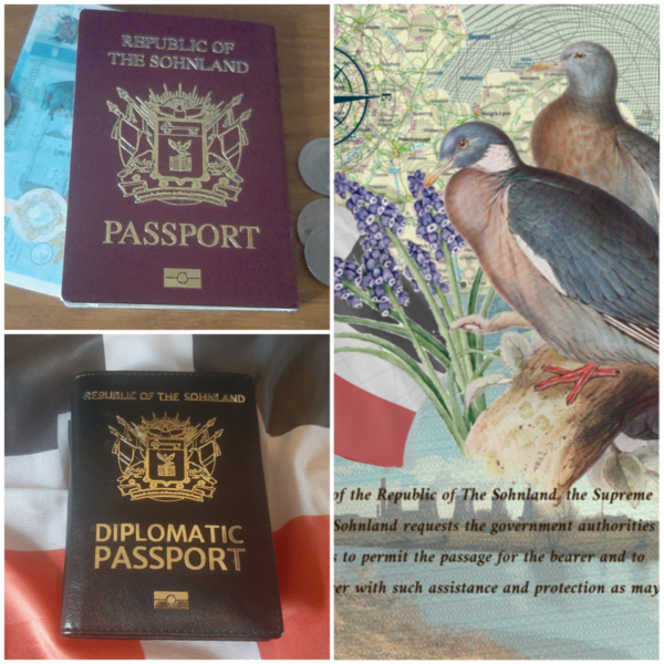 File:Sohnlandic Passports and Interior.png