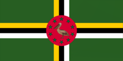 Flag of Pájaro
