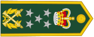 File:Field Marshal (Queensland Army) - rotated.svg